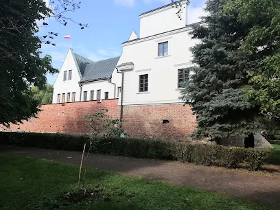 Zamek starościński w Koninie (pozostałości)